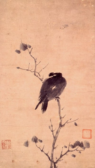 Myna Bird by Mu Xi
